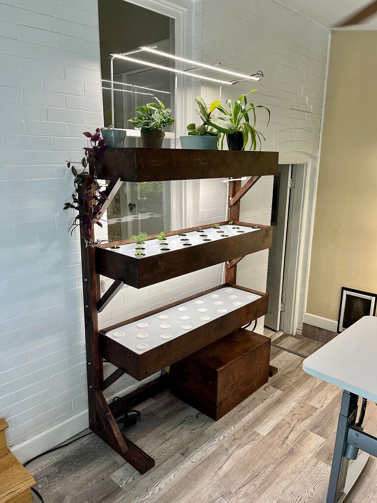 Image showcasing Untitled Image